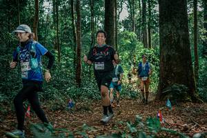 BIB: 
                            <button type="button" onclick="openModal(26129166)" class="btn btn-primary btn-sm float-right btn-popup" data-toggle="modal" data-target=".modal-high-quality">
                        <i class="fas fa-shopping-cart"></i> Add to Cart
                    </button>
                                            <button type="button" onclick="isThisMe(26129166, true)" class="btn btn-success btn-sm float-right btn-popup btn-isme hidden" data-toggle="tooltip" data-placement="bottom" title="นี่คือรูปของคุณใช่ไหม คลิกที่นี่เพื่อเอาเข้าอัลบั้ม">
                        <i class="fas fa-plus"></i> Add to album
                    </button>
                    <button type="button" onclick="isThisMe(26129166, false)" class="btn btn-warning btn-sm float-right btn-popup btn-isnotme hidden">
                        <i class="fas fa-ban"></i> Remove from album
                    </button>